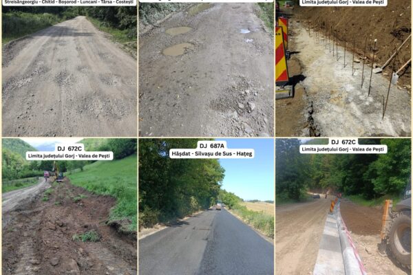 Președintele CJ Hunedoara: „Aceste măsuri distructive… trebuie oprite!”