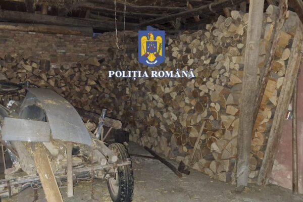 (VIDEO) Percheziții la mafia lemnului. Zeci de persoane au fost duse la audieri